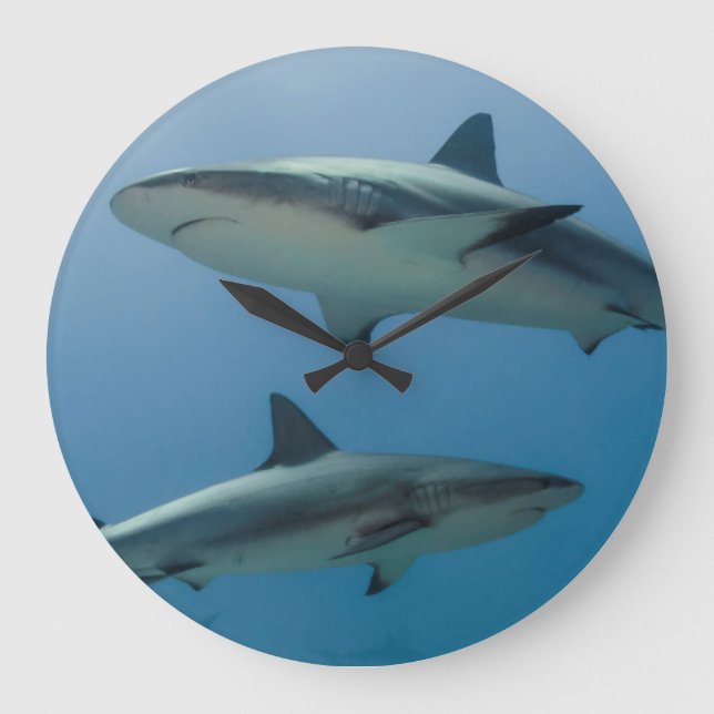 Grande Horloge Ronde Requin des Caraïbes de récif (Recto)