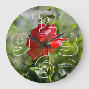 Grande Horloge Ronde Rose rouge