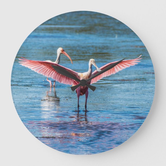 Grande Horloge Ronde Roseate Spoonbill Round (Recto)