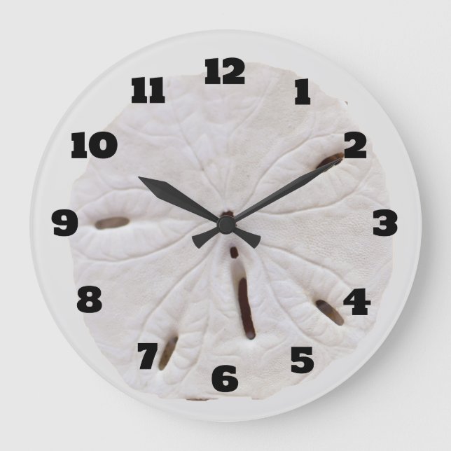 Grande Horloge Ronde Sable Dollar Plage Coquillages Plage Naturelle ten (Recto)