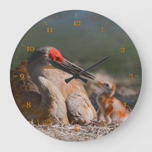 Grande Horloge Ronde Sandhill grues contact visuel avec son bébé