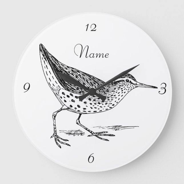 Grande Horloge Ronde Sandpiper Shorer Thunder_Cove (Recto)
