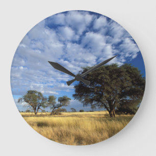 Grande Horloge Ronde Scène du désert du Kalahari, Kgalagadi Transfronti