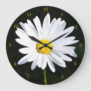 Grande Horloge Ronde Shasta Daisy