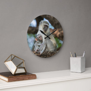 Grande Horloge Ronde Singe Vervet Expressif en Afrique