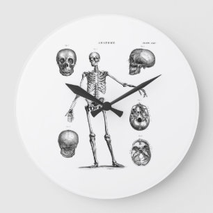 Grande Horloge Ronde Squelettes antiques squelettiques d'anatomie de