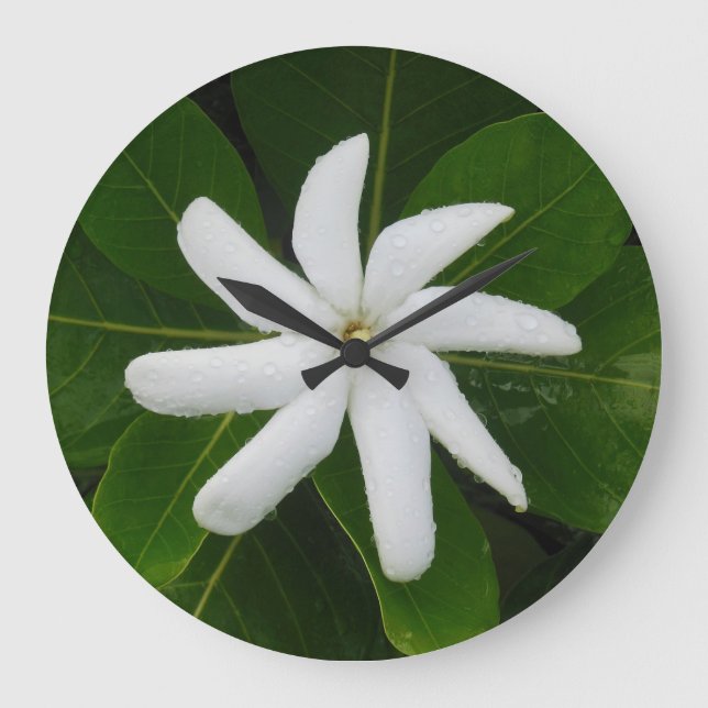 Grande Horloge Ronde Tahitian Gardenia (Recto)