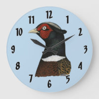 Tête de faisan Ringneck