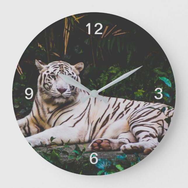 Grande Horloge Ronde Tigre (Recto)