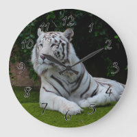 Tigre de Bengale blanc