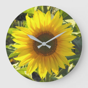 Grande Horloge Ronde Tournesol de lueur d'été