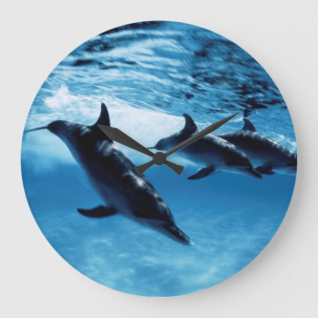 Grande Horloge Ronde Trio de Dolphins (Recto)