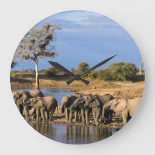 Grande Horloge Ronde Troupeau d'éléphants d'Afrique (Loxodonta Africana