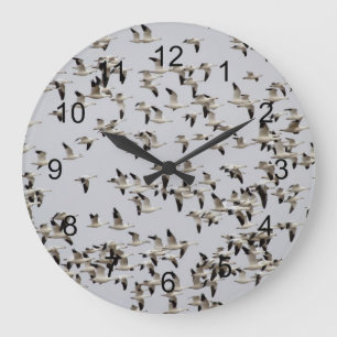 Grande Horloge Ronde Troupeau d'oies en vol