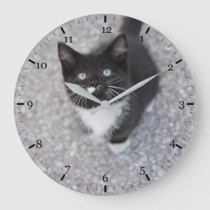Grande Horloge Ronde Tuxedo kitten
