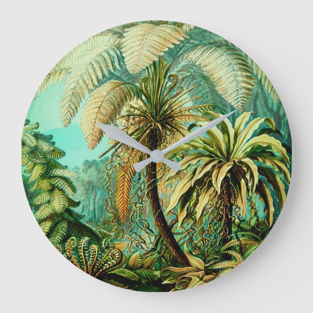 Grande Horloge Ronde Vintage Ernst Haeckel Palmiers Botaniques Grande H (Recto)