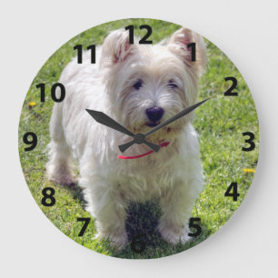 Grande Horloge Ronde West Highland White Terrier