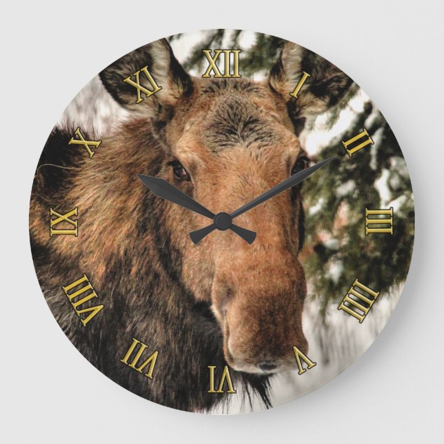 Grande Horloge Ronde Wild Canadian Moose (Recto)