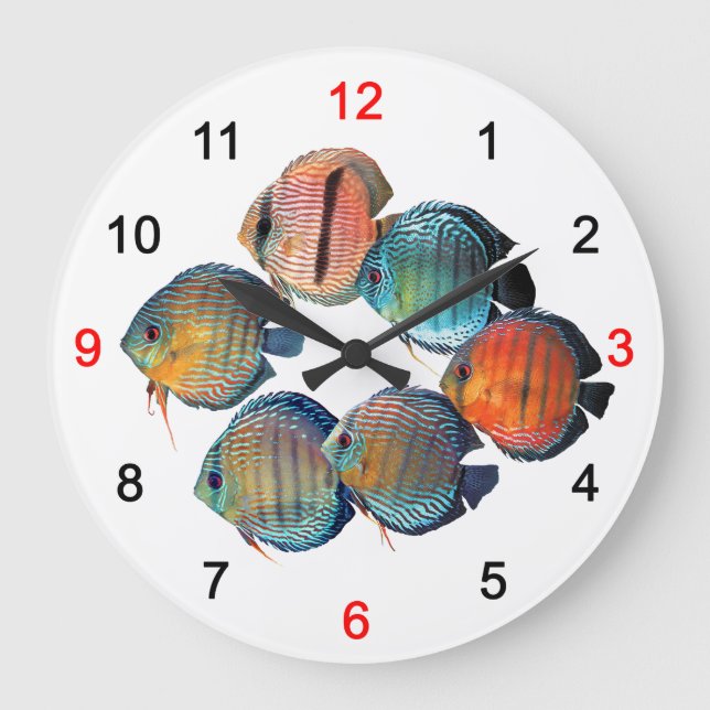Grande Horloge Ronde Wild Discusfish (Recto)