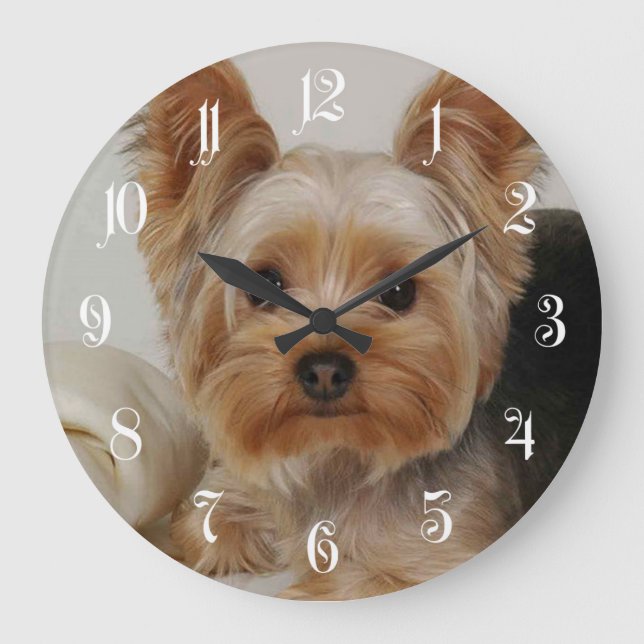 Grande Horloge Ronde Yorkshire Terrier (Recto)