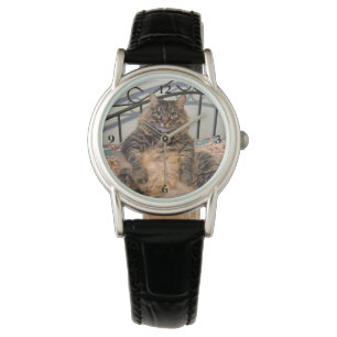 Grande montre gentille à croquer de chat
