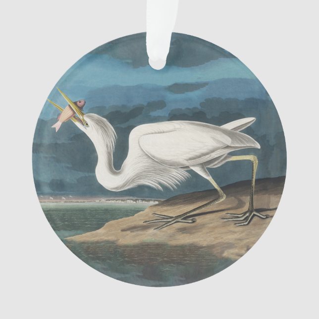 Grande Peinture de la faune d'Audubon Heron blanc (devant)
