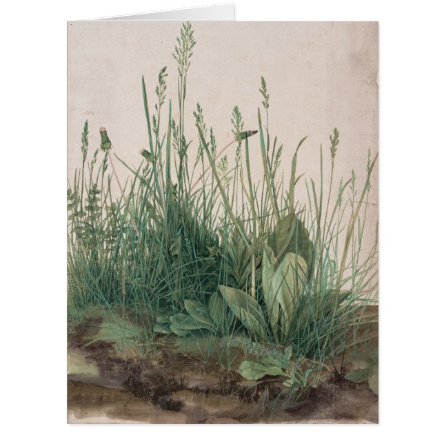 Grande pièce de Turf par Albrecht Durer (Devant)