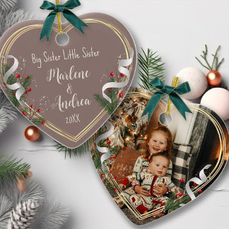 Grande Soeur Petite Soeur Soeur Fils Amour Photo