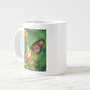 Grande Tasse Amérique du Nord, États-Unis, WA, Seattle, Woodlan