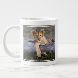 Grande Tasse Animaux de bébés cutest   Cute Lion Cub