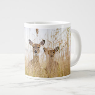 Grande Tasse Animaux de bébés cutest Deux jeunes cerfs à queu