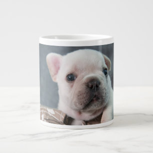 Grande Tasse Animaux de bébés cutest   French Bulldog