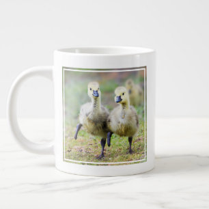 Grande Tasse Animaux de bébés cutest   Goélands d'oies canadien