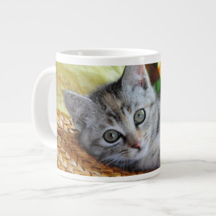 Grande Tasse Animaux de bébés cutest   Lounge Kitten