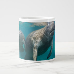Grande Tasse Animaux de bébés cutest   Manat & bébé