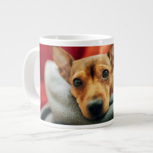 Grande Tasse Animaux de bébés cutest   Miniature Pinscher