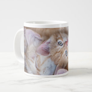 Grande Tasse Animaux de bébés cutest Orange Kitten Pile