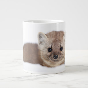 Grande Tasse Animaux de bébés cutest Pine Marten