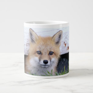 Grande Tasse Animaux de bébés cutest   Red Fox Kit Peeking