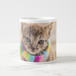 Grande Tasse Animaux de bébés cutest   Tabby Kitten Écharpe arc