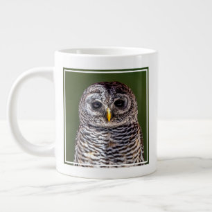 Grande Tasse Animaux de bébés cutest   Tawny Owl