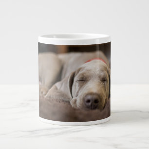 Grande Tasse Animaux de bébés cutest   Weimaraner Puppy Sleepin