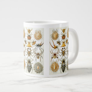 Grande Tasse Araignées ou arachnides vintages par Ernst Haeckel
