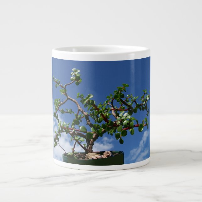 Grande Tasse Arbre 1 d'afra de portulacaria de bonsaïs (Devant)