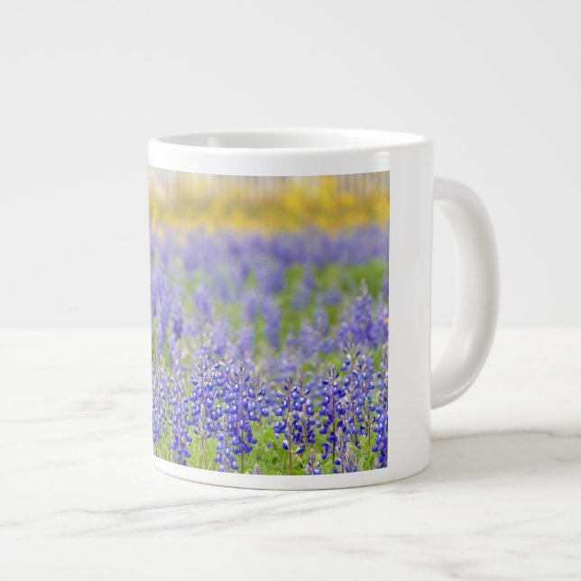 Grande Tasse Bluebonnets du Texas (Devant droit)
