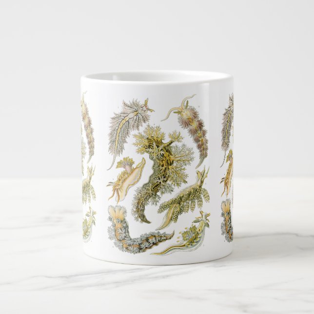 Grande Tasse Boues de mer par Ernst Haeckel, Nudibranchia Vinta (Devant)