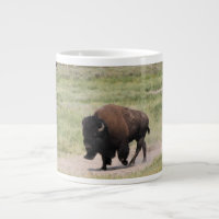 Buffalo en mouvement, Photographie, Personnaliser