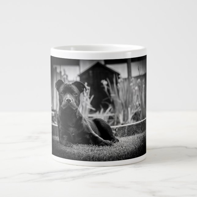 Grande Tasse Bull-terrier du Staffordshire (Devant)