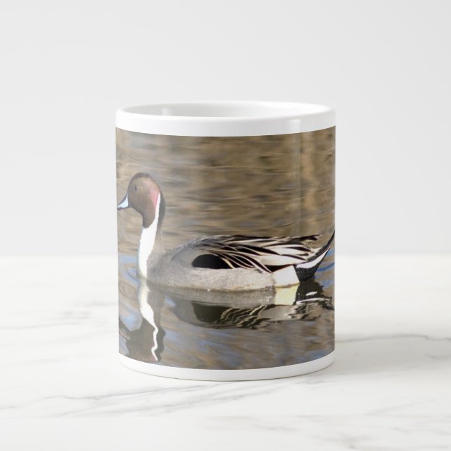 Grande Tasse Canard À Pintail Nage Dans Un Étang (Devant)