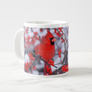 Grande Tasse Cardinal rouge mâle, Hiver, IL